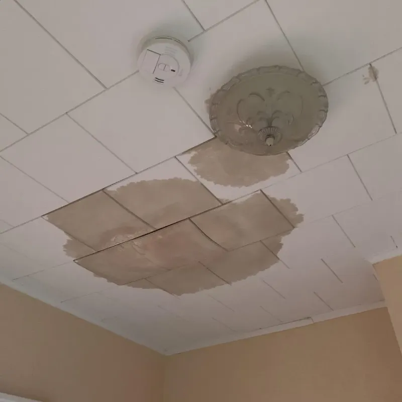 Ceiling Water Damage Repair in Gibson County, IN