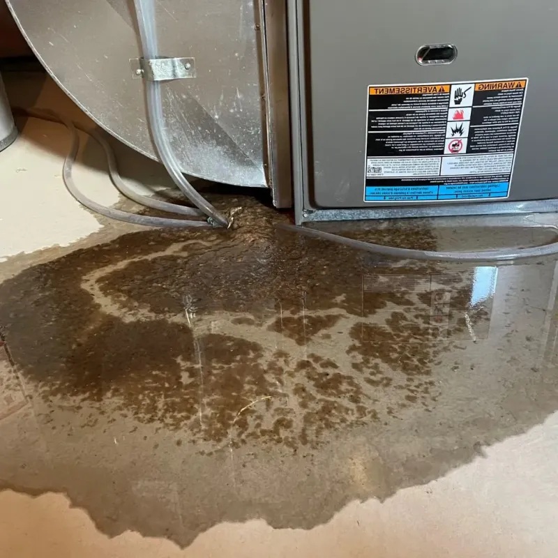 Pipe Burst and Leak Restoration in Gibson County, IN