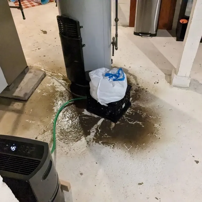 Sewage Backup Cleanup Service in Gibson County, IN
